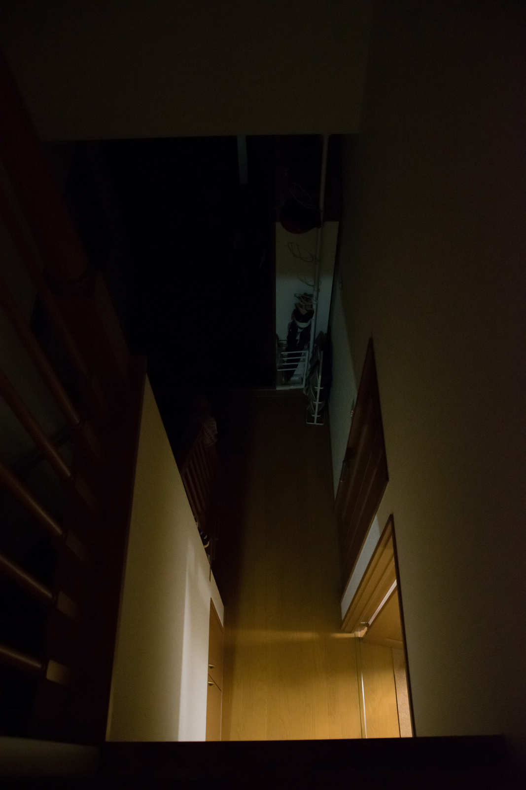 SIGMA 10-20mm EX DC HSMで撮りためた写真を素人作例として